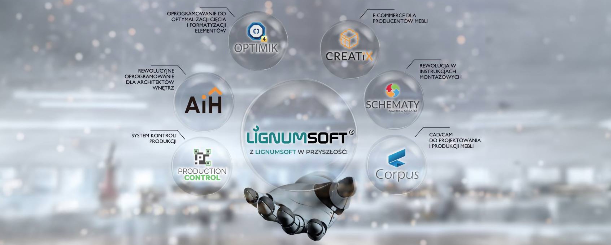 Lignumsoft